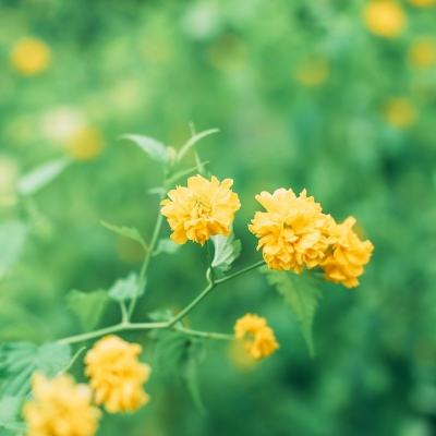 超梦行动手游正版下载